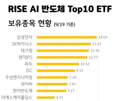RISE AI 반도체 Top 10 etf 포트폴리오